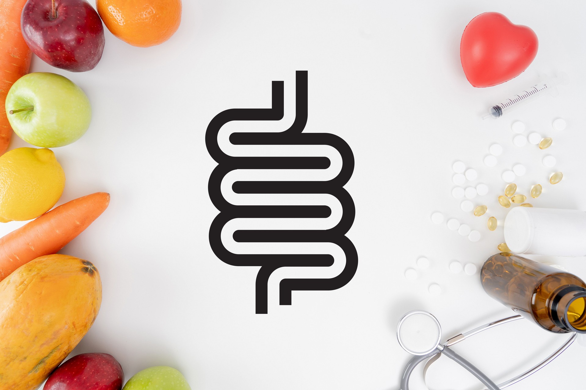 intestin intestin saine alimentation pour la santé de l’intestin